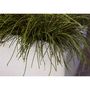 Voir la diapositive 5 : CAPI Capi Jardiniere rectangulaire Arc Granite 90x35x40 cm Ivoire