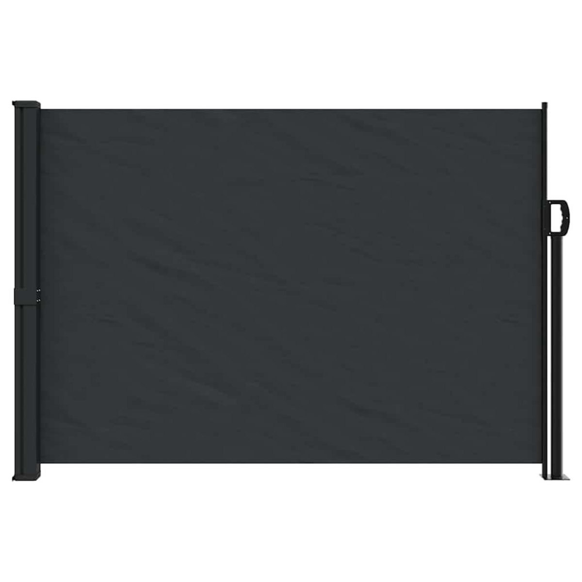 VIDAXL Auvent lateral retractable noir 140x300 cm