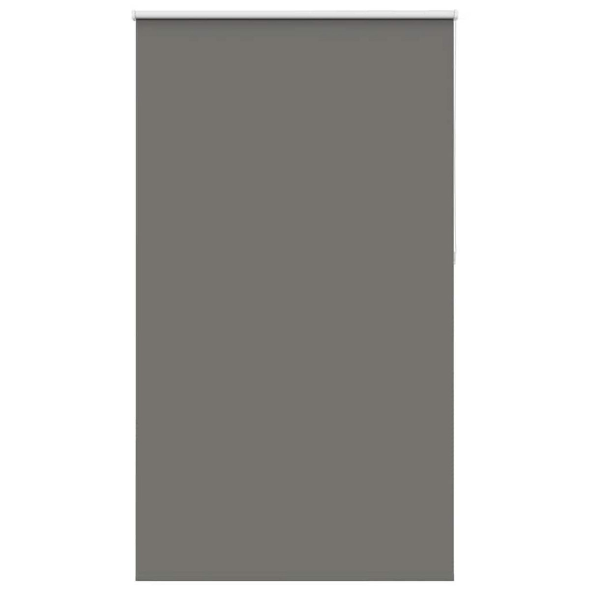 VIDAXL Store enrouleur occultant largeur du tissu 121,6 cm polyester