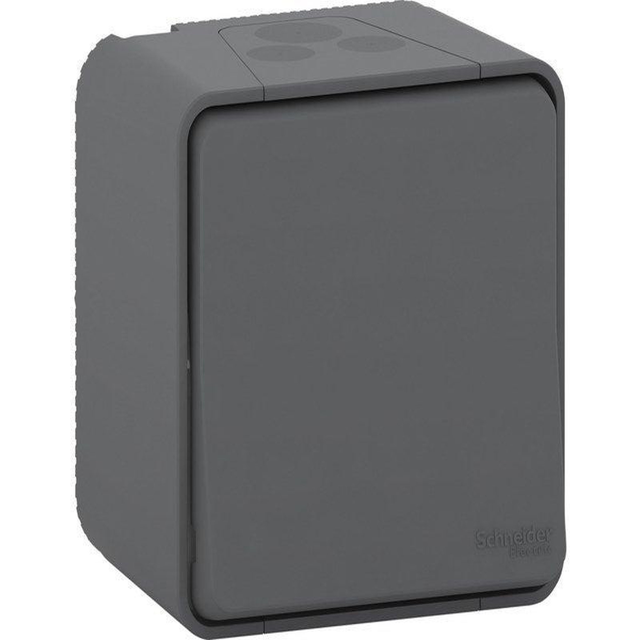 Schneider Electric Interrupteur va-et-vient étanche complet, Mureva, gris anthracite