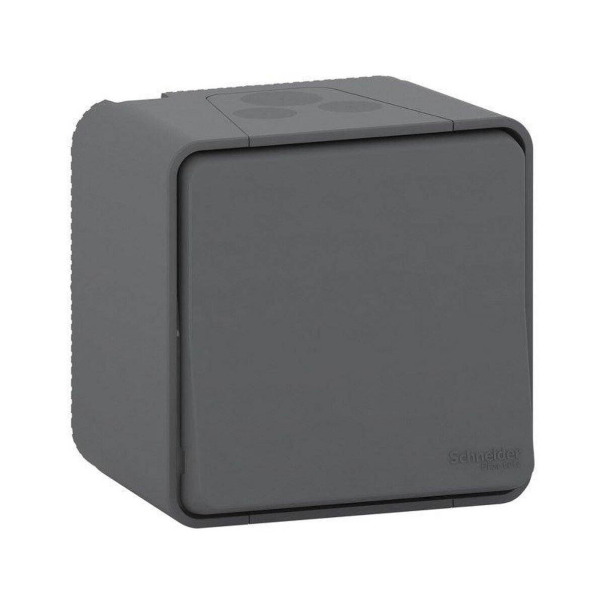 Schneider Electric Interrupteur va-et-vient étanche complet, Mureva, gris anthracite