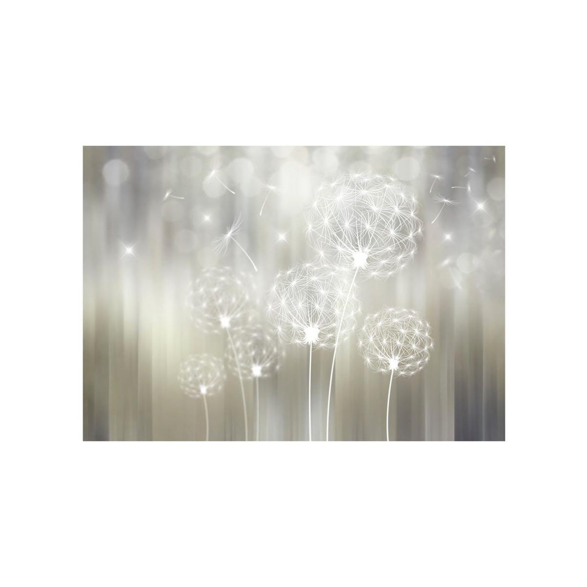 Voir la diapositive 2 : Paris Prix Papier peint  gift of the sun