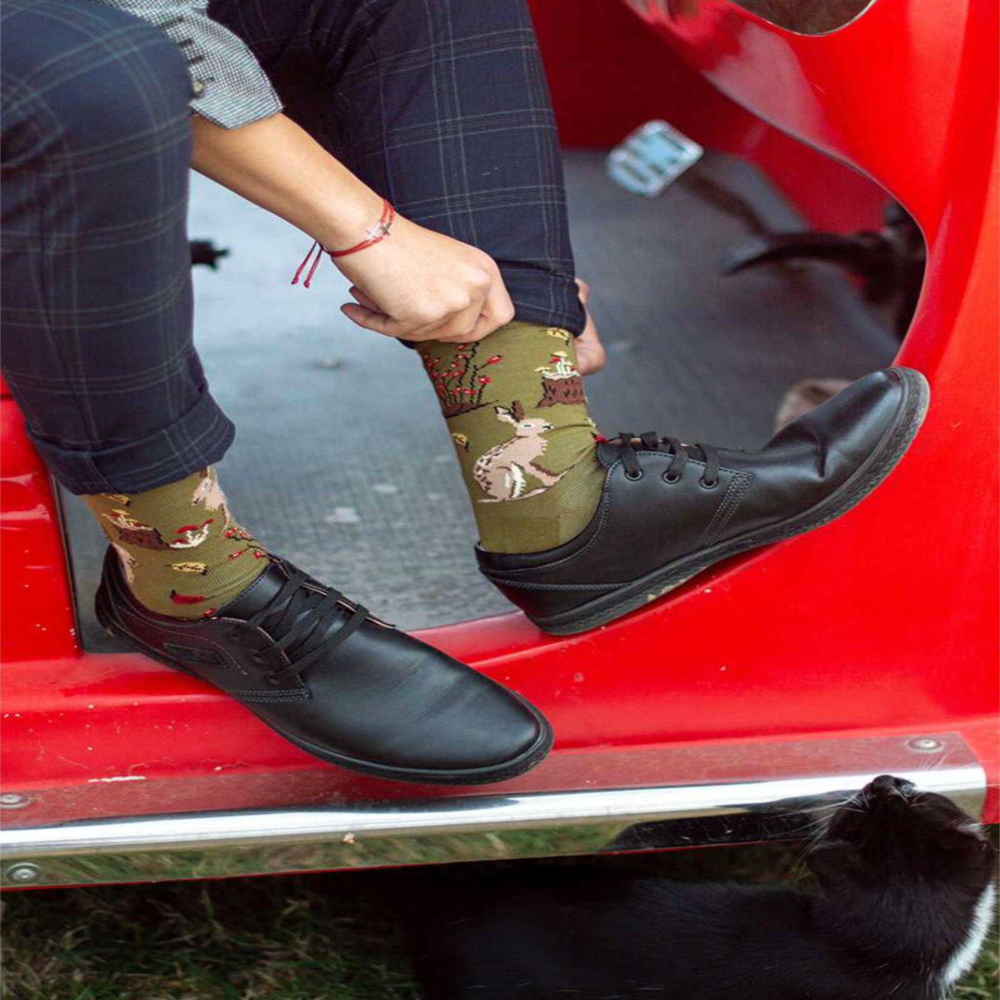 Voir la diapositive 4 : PIRIN HILL Chaussettes coton bio automne lièvres