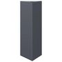 Voir la diapositive 2 : VIDAXL Jardiniere anthracite triangulaire 30x26x75 cm acier