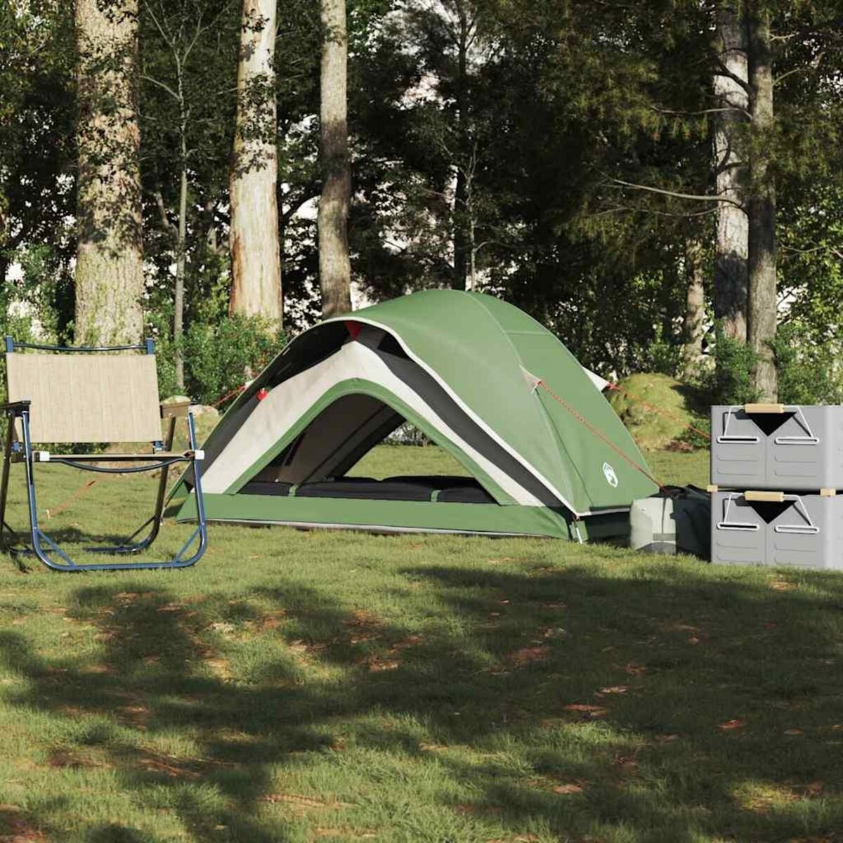 VIDAXL Tente de camping 1 personne vert impermeable