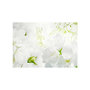 Voir la diapositive 2 : Paris Prix Papier Peint  Jasmine