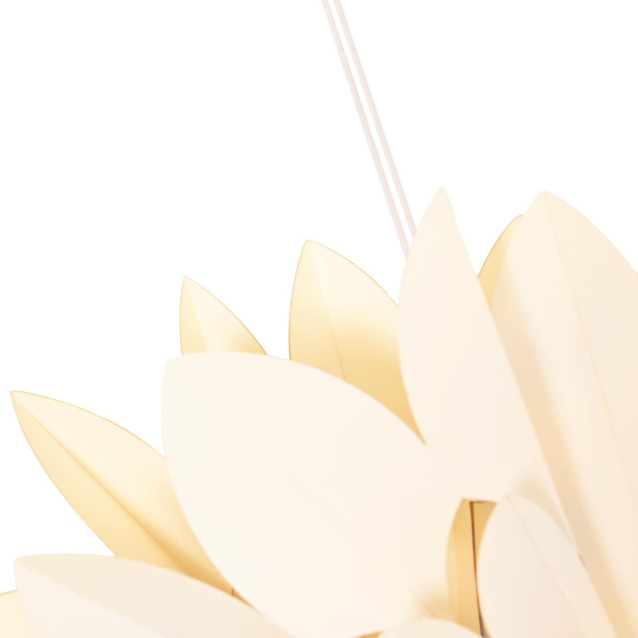 Voir la diapositive 6 : VIDAXL Eclairage de Noël RAAHE 10 LED Blanc chaud 60 x 20 x 60 cm