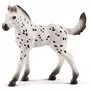 Schleich Figurine cheval : Poulain Knabstrupper