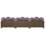 Voir la diapositive 3 : VIDAXL Lit sureleve 120x40x23 cm Polypropylene