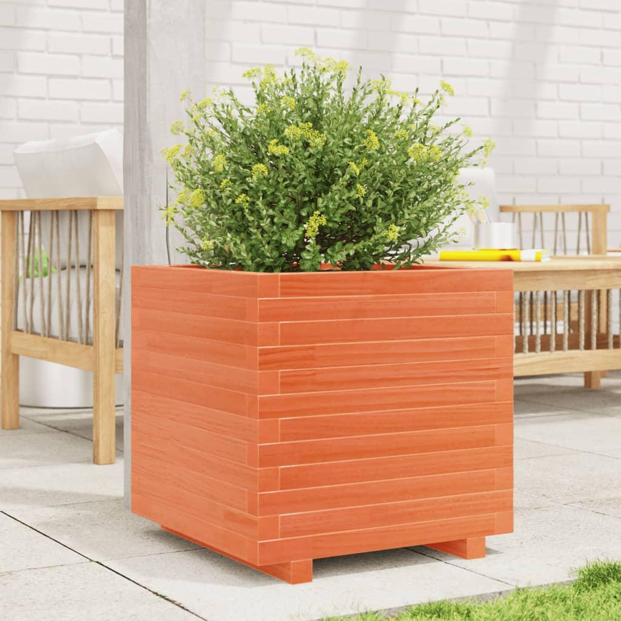 Voir la diapositive 3 : VIDAXL Jardiniere cire marron 50x50x49,5 cm bois de pin massif