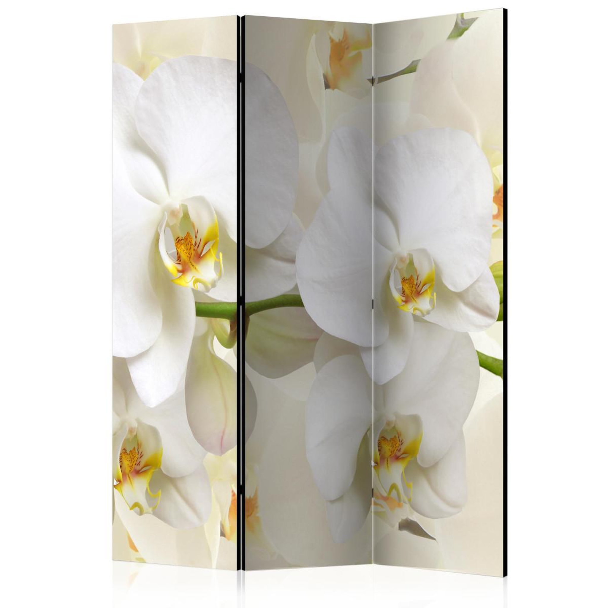 Paris Prix Paravent 3 volets  orchid branch  135x172cm