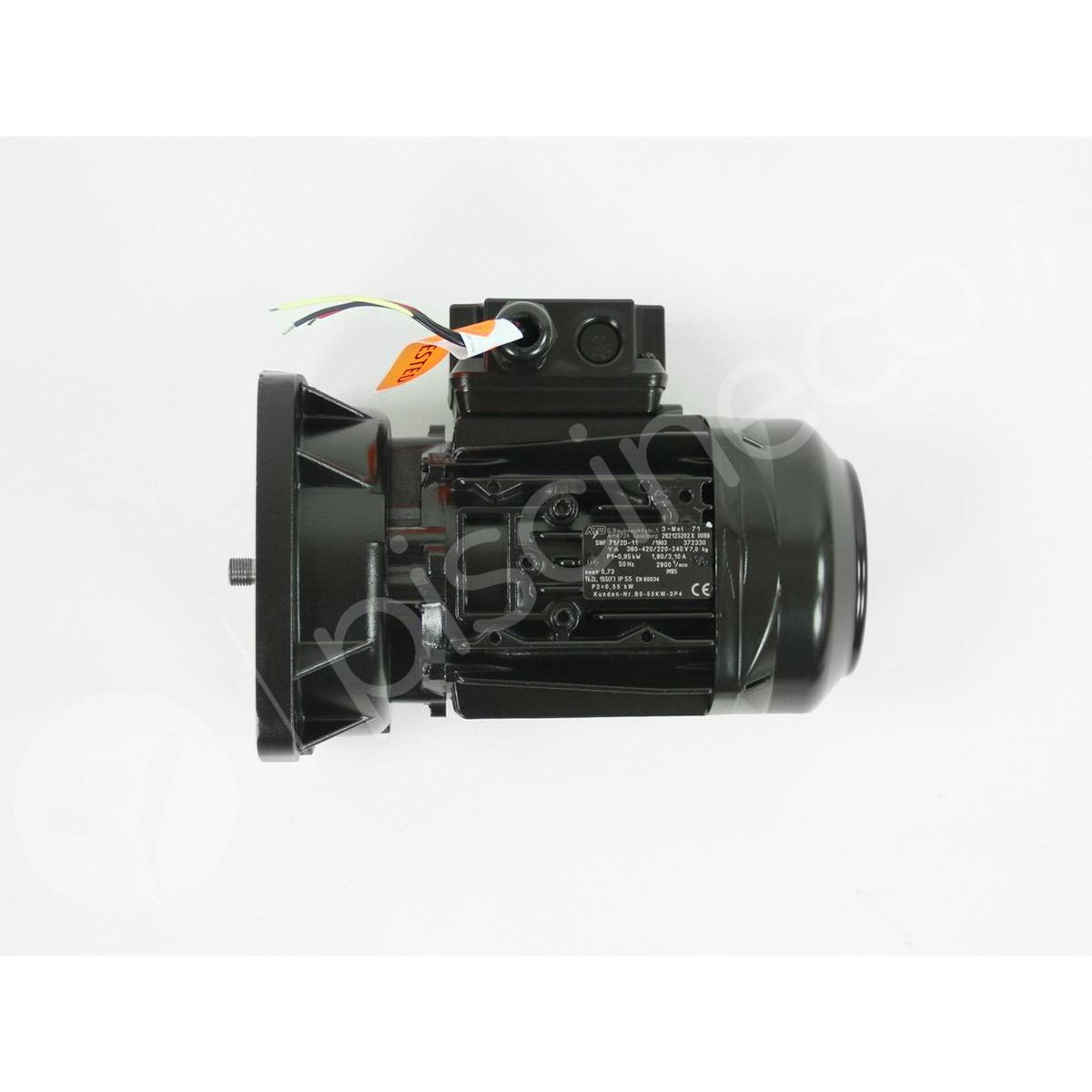 Pentair Moteur pour pompes La Sta-Rite 0,75 CV Tri - Pentair
