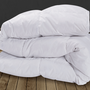 Voir la diapositive 5 : ID MARKET Couette 220x240 CM AELA blanche en plume d'oie anti acarien 500 gr