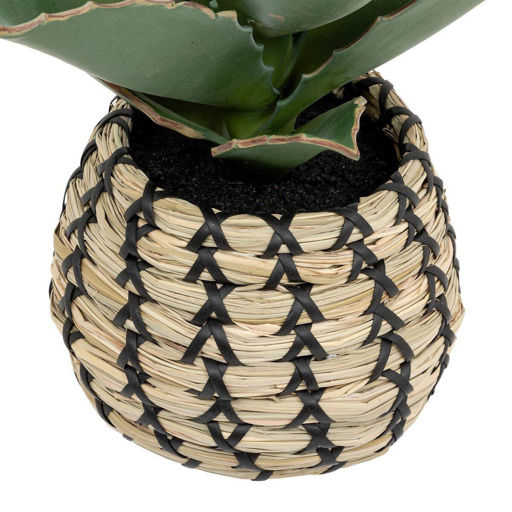 Voir la diapositive 2 : ATMOSPHERA Plante artificielle samouraï  pio  26cm naturel