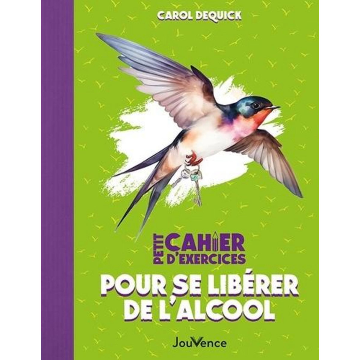 PETIT CAHIER D'EXERCICES POUR SE LIBERER DE L'ALCOOL, Dequick Carol