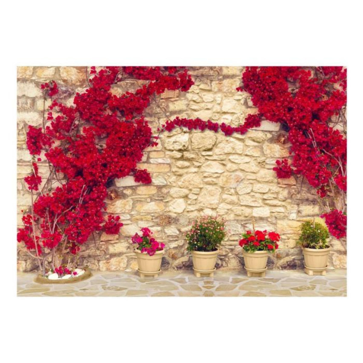 Paris Prix Papier Peint  Warm Afternoon