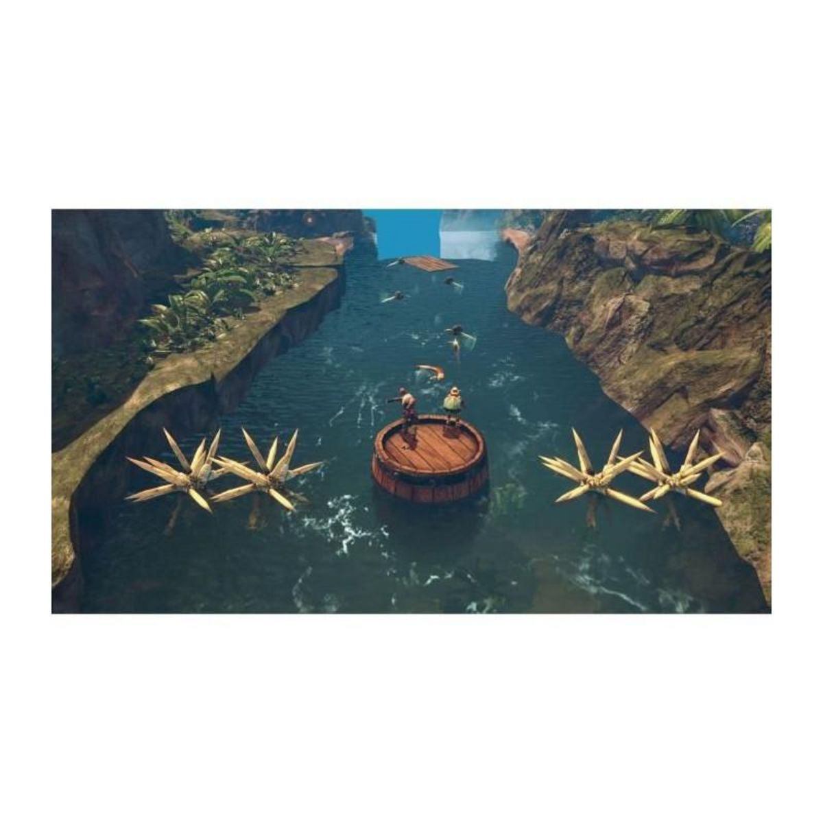 BANDAI NAMCO ENTERTAINMENT Jumanji - Aventures Sauvages - Jeu PS4