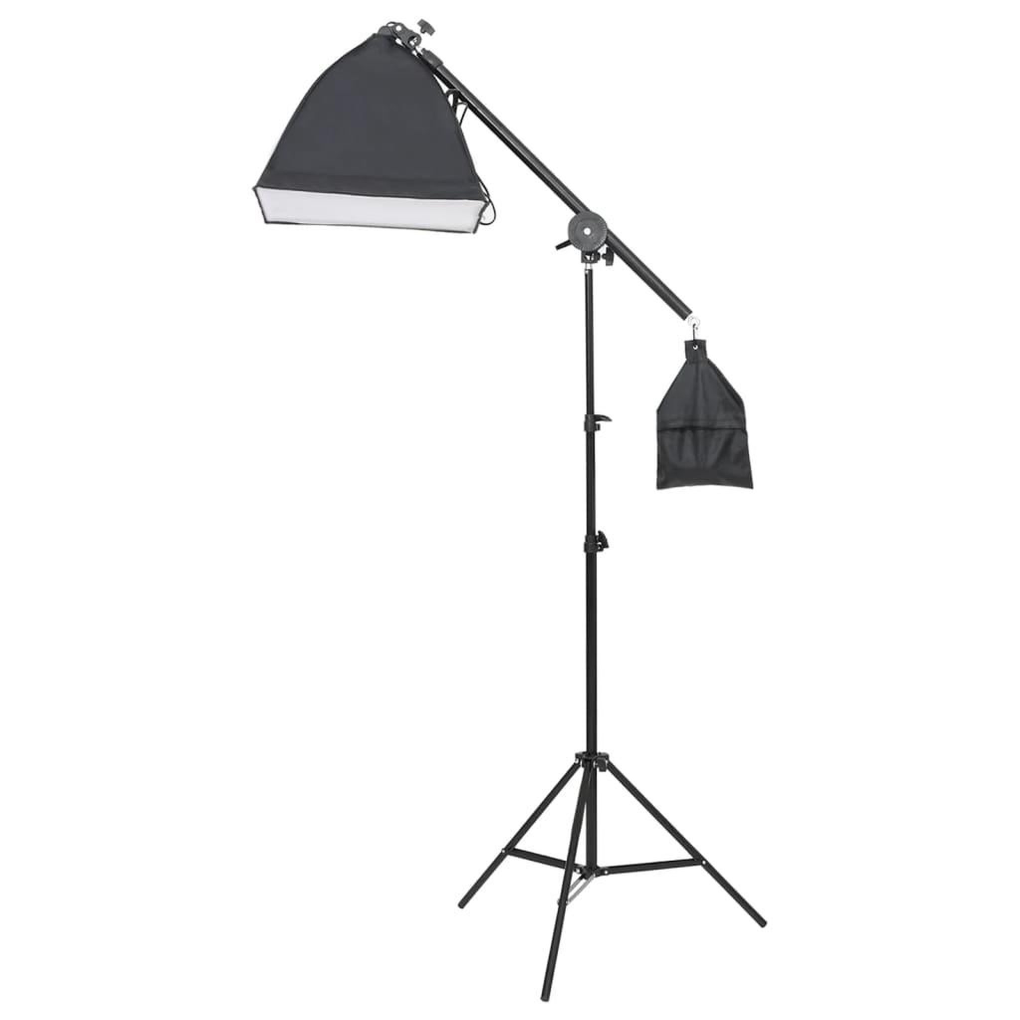 Voir la diapositive 5 : VIDAXL Kit de studio photo avec eclairage et toile de fond