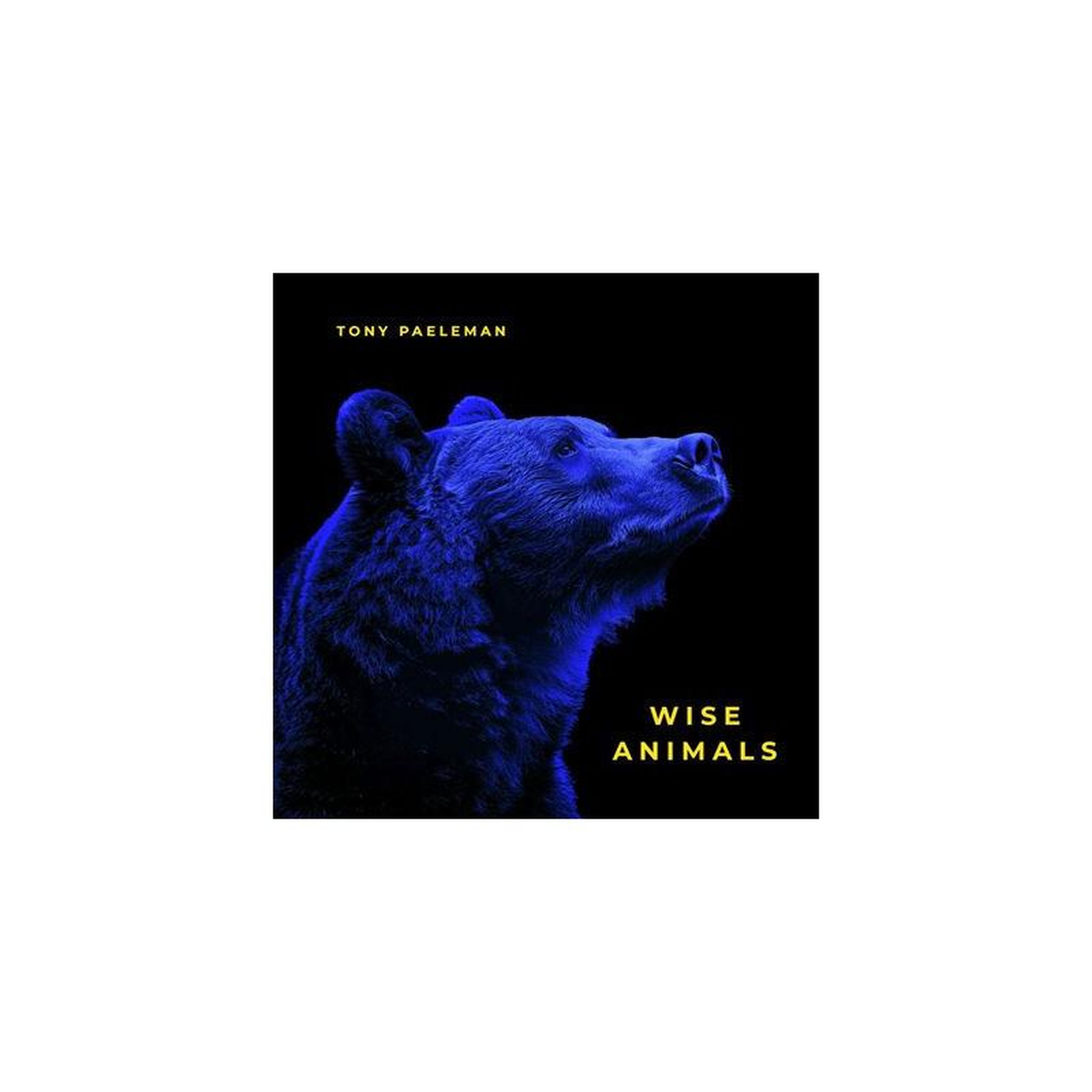 Livre wise animals de tony paeleman, portrait d'animaux illustré, couverture tons bleus et