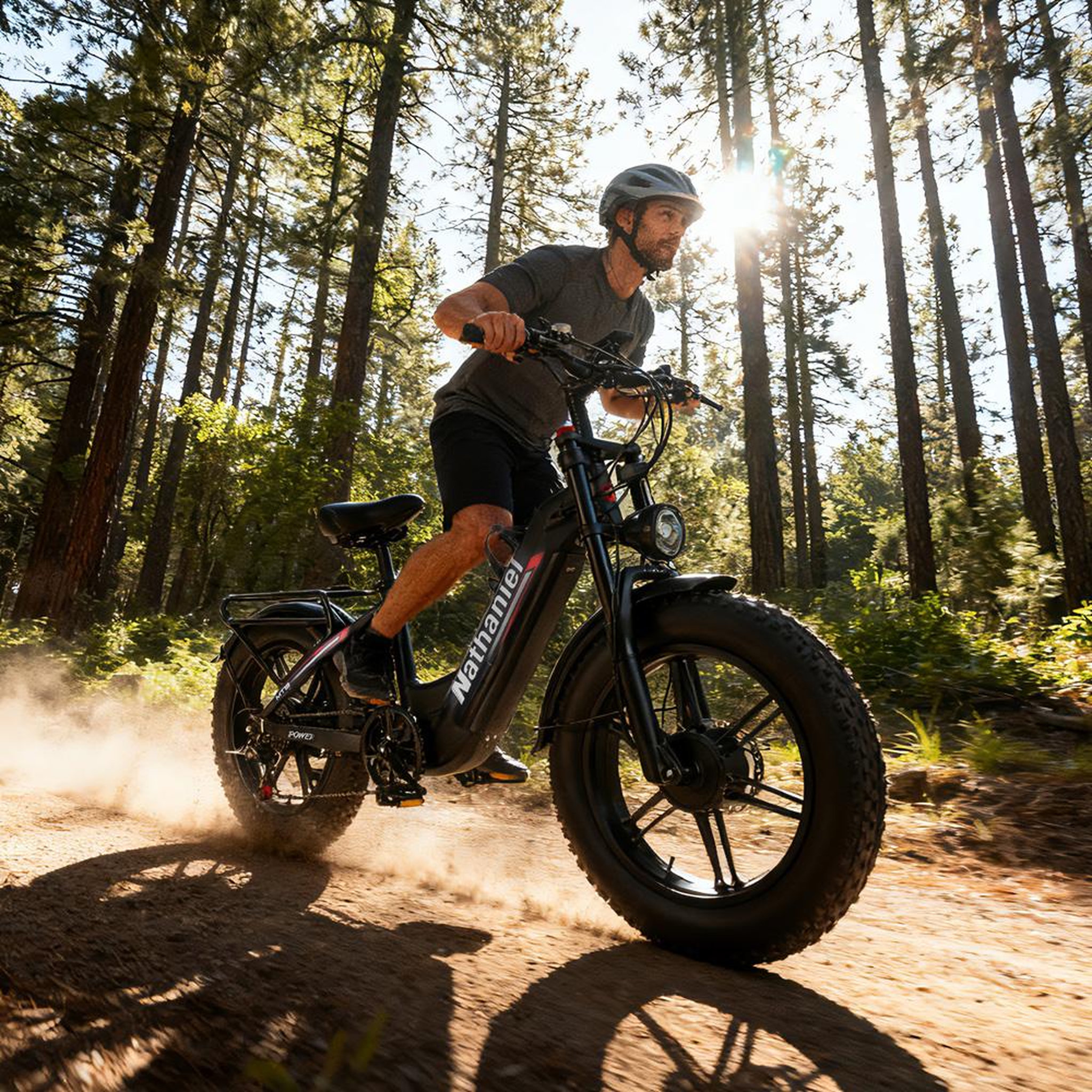 Voir la diapositive 6 : NATHANIEL Dual-motor electric bike nathaniel syr08