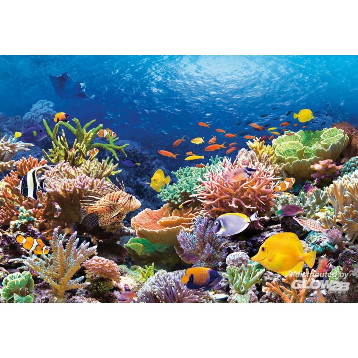 Castorland Puzzle 1000 pièces - Récif de corail