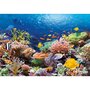 Voir la diapositive 1 : Castorland Puzzle 1000 pièces - Récif de corail