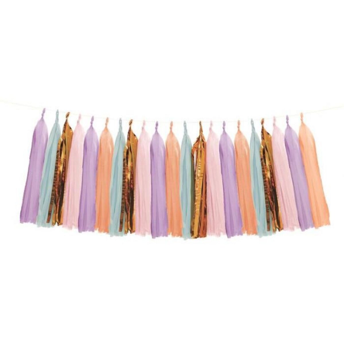 Paris Prix Guirlande  21 Pompons  2m Multicolore