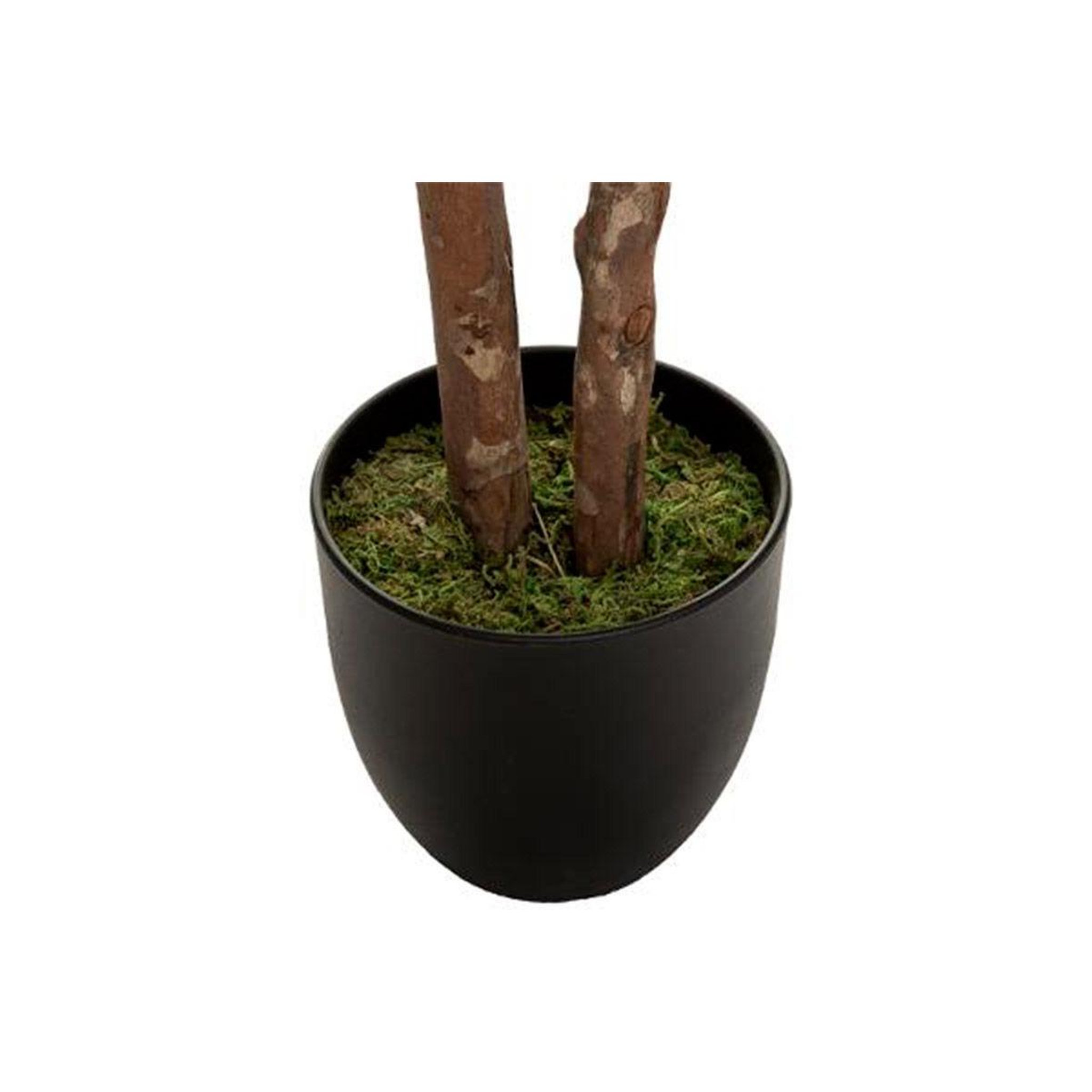 Voir la diapositive 3 : ATMOSPHERA Plante artificielle  schefflera  135cm vert & noir