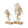 Voir la diapositive 3 : Paris Prix Statue Hippocampe Herbe  Nut  53cm Naturel