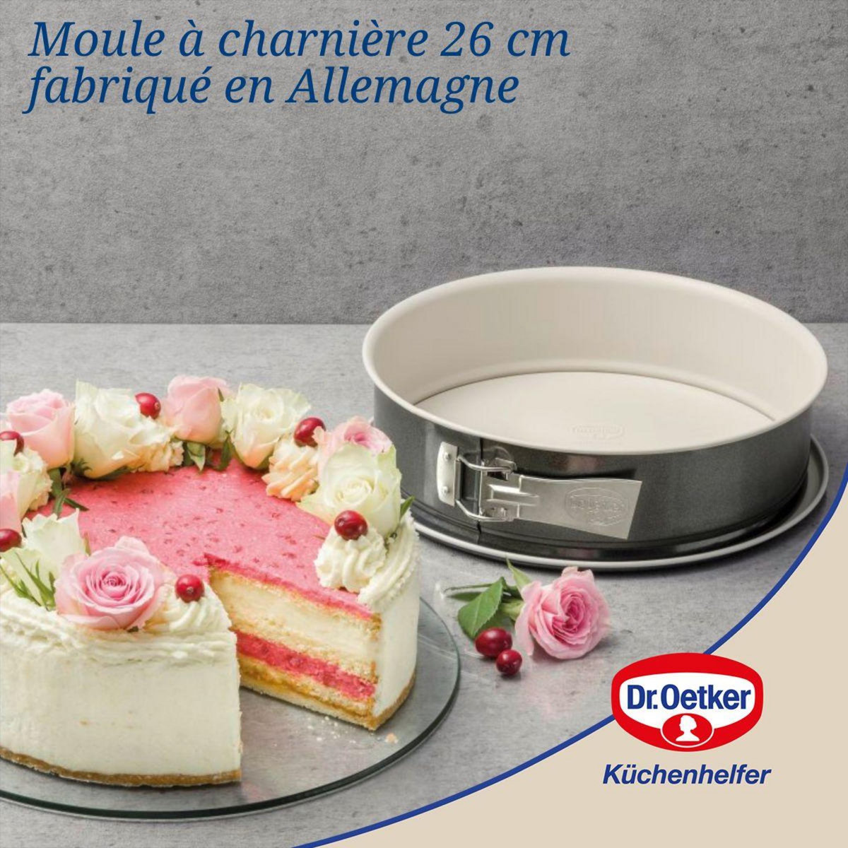 DR.OETKER Moule à manqué à charnière 26 cm Dr. Oetker Back-Trend