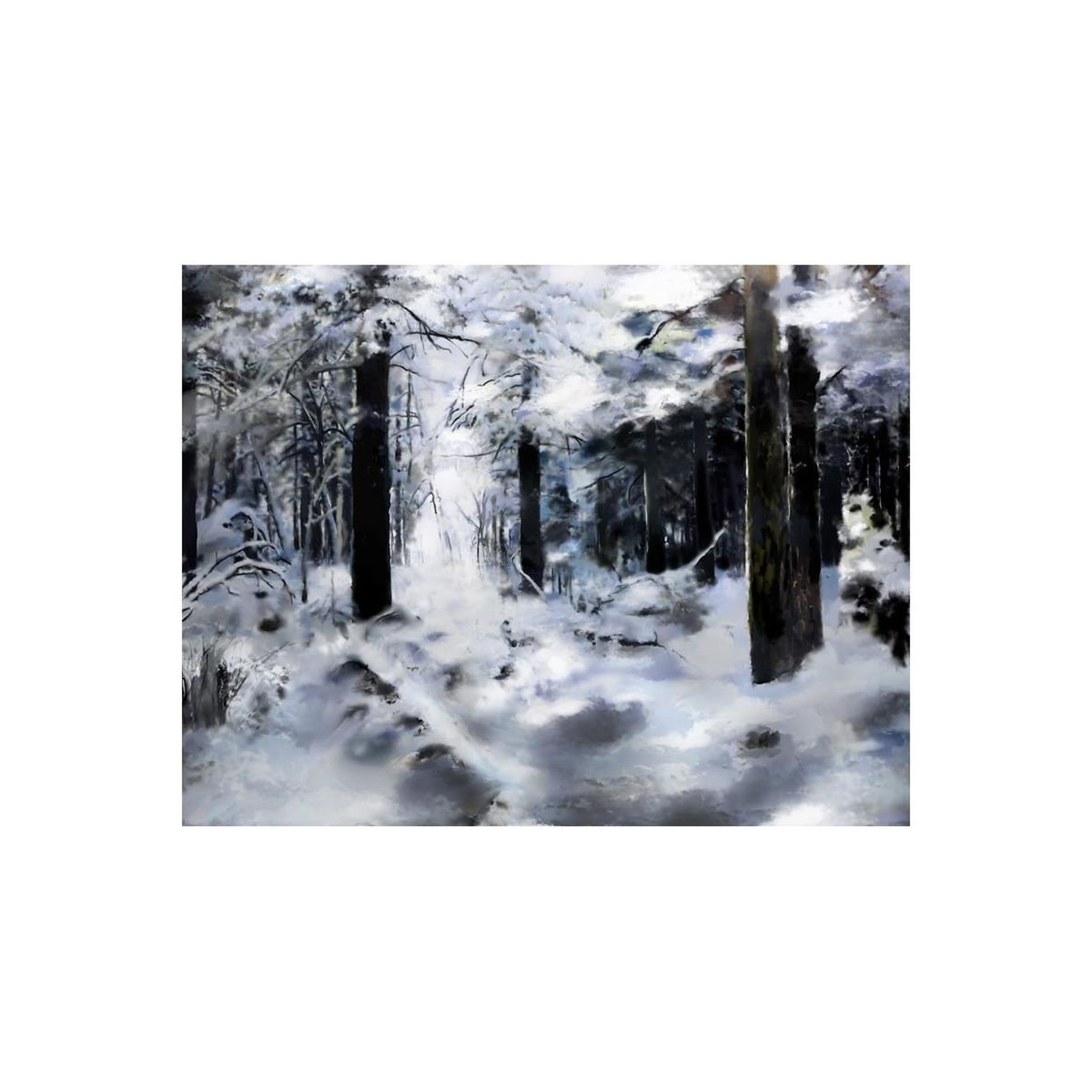 Voir la diapositive 2 : Paris Prix Papier Peint  Winter Forest