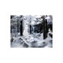 Voir la diapositive 2 : Paris Prix Papier Peint  Winter Forest