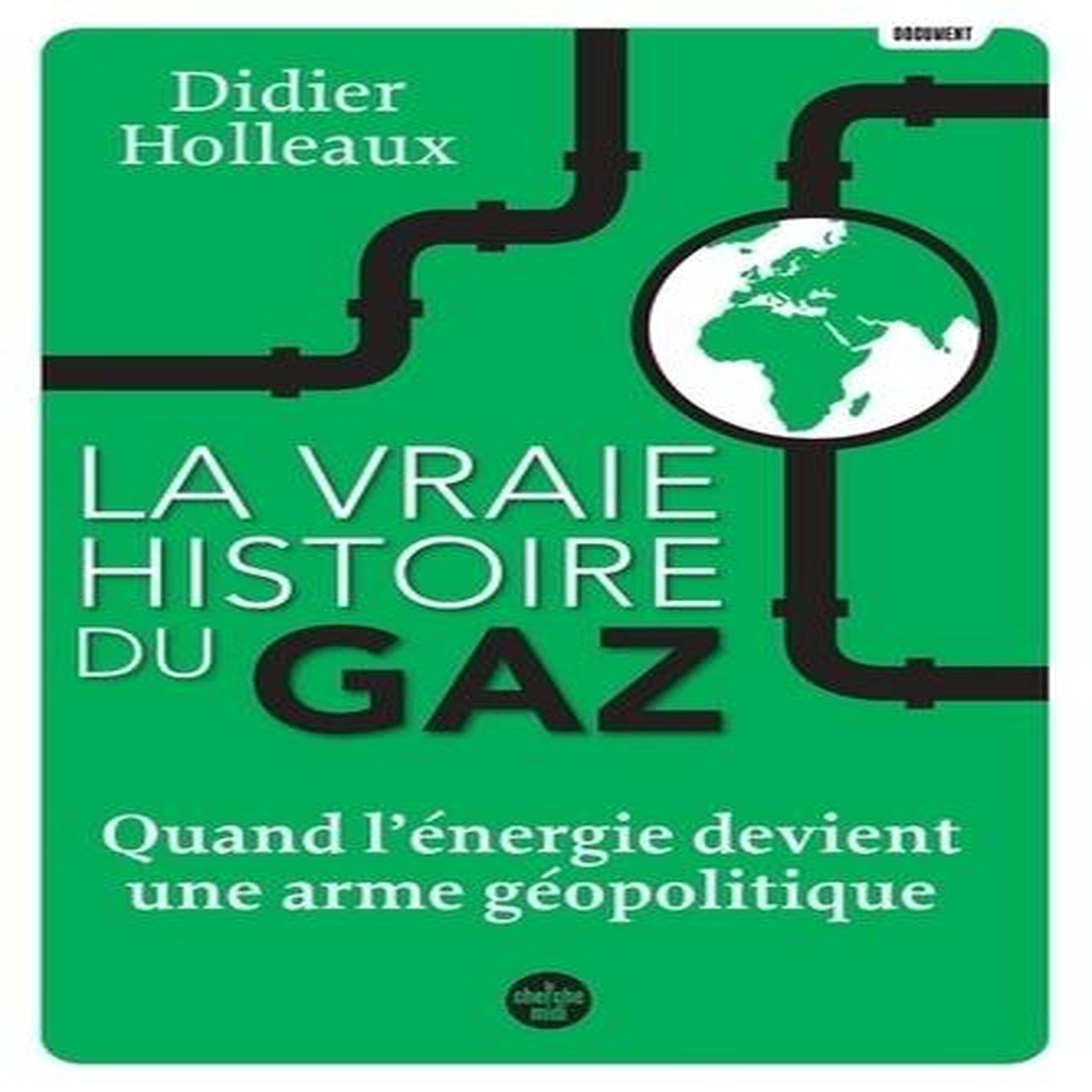 LA VRAIE HISTOIRE DU GAZ. QUAND L'ENERGIE DEVIENT UNE ARME GEOPOLITIQUE, Holleaux Didier