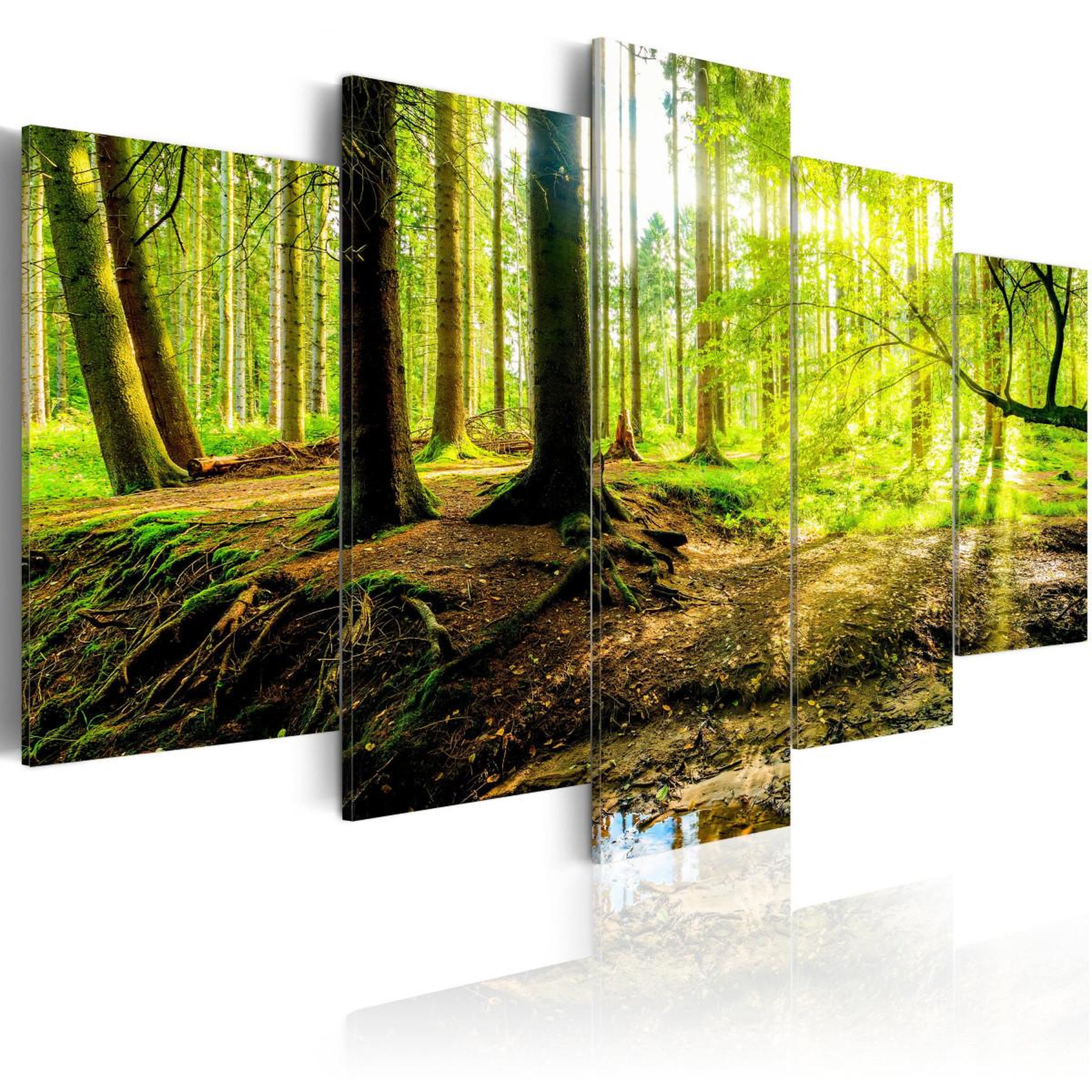 Voir la diapositive 1 : Paris Prix Tableau Imprimé  Poetry of a Forest