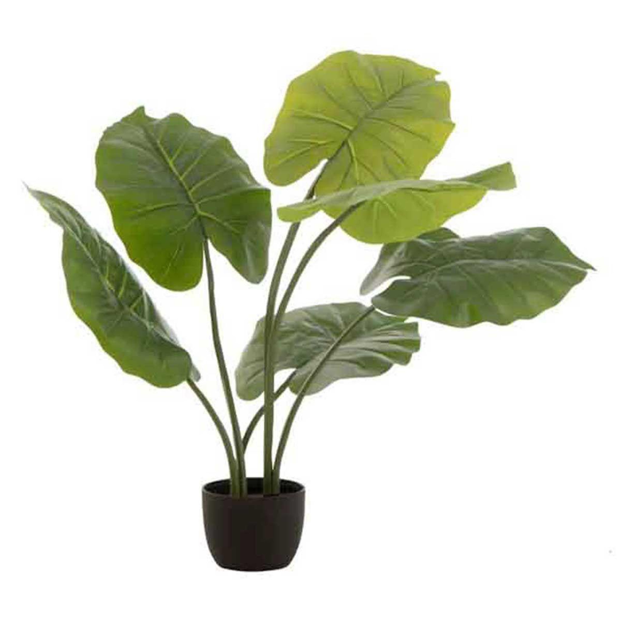 J-LINE Plante artificielle  taro sauvage  78cm vert