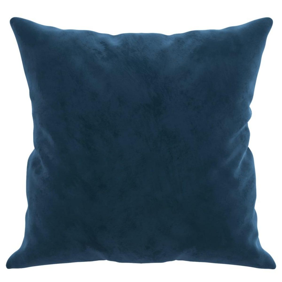 VIDAXL Coussins decoratifs lot de 2 Bleu 40x40 cm Velours