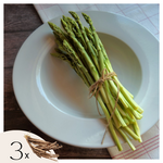 PLANT IN A BOX Asperge de jardin - Set de 3 - Asparagus 'Gijnlim'