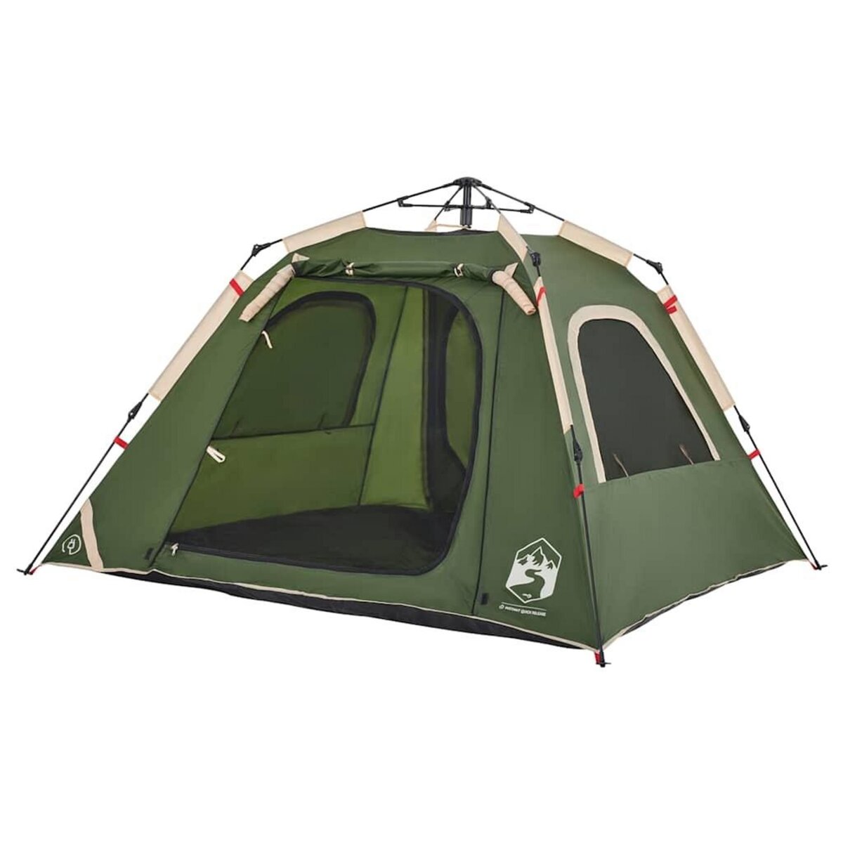 VIDAXL Tente de camping a dome 4 personnes vert liberation rapide