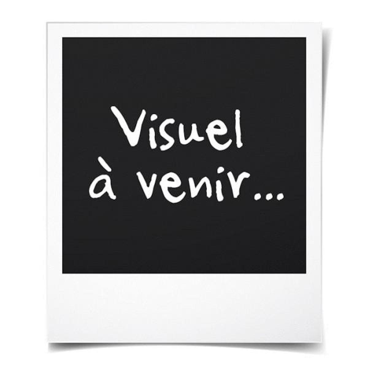 Lenovo Sacoche pour ordinateur portable 15.6 Lenovo T210 Noir charbon