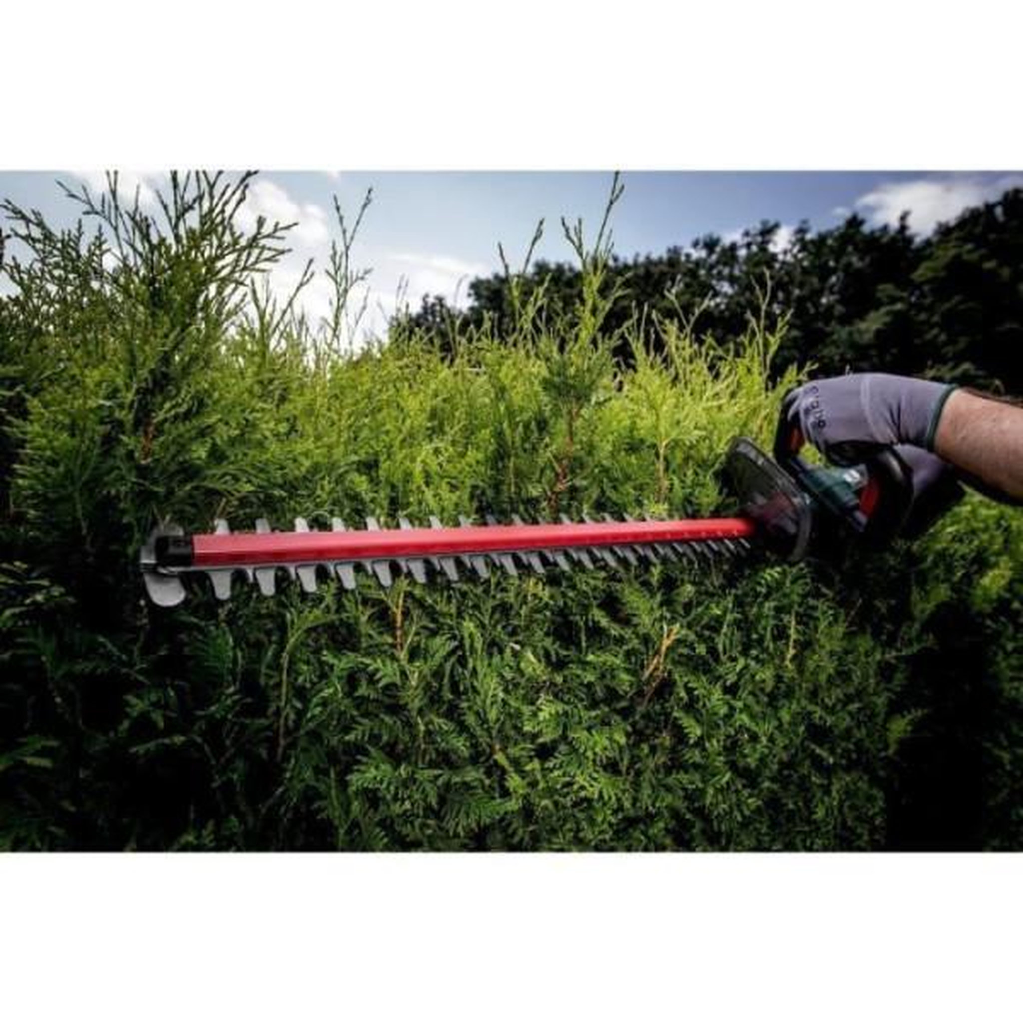 Voir la diapositive 3 : METABO Taille-haies sans fil - METABO - HS 18 LTX 65 - Lame 65 cm - 18 V - Coupe nette