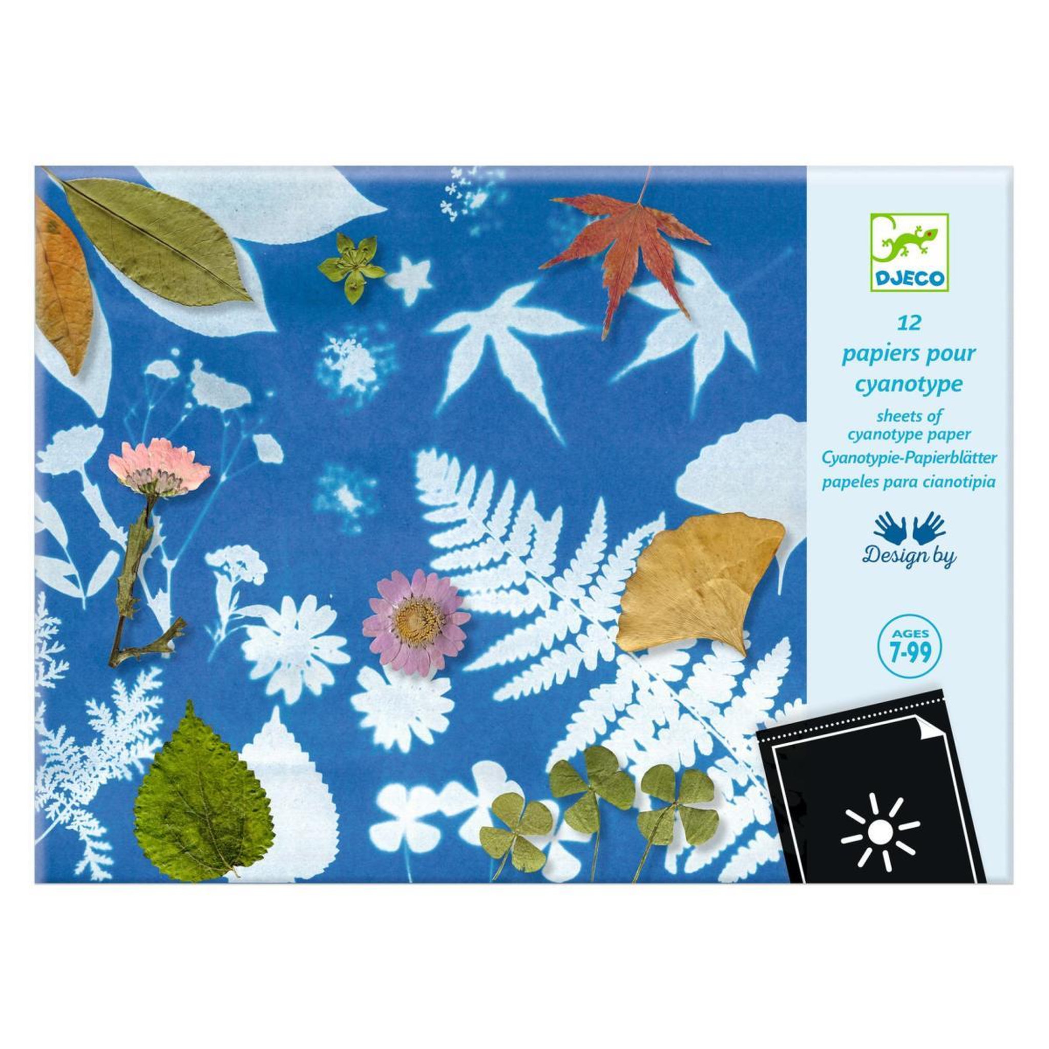 Djeco lot de papier pour Cyanotype