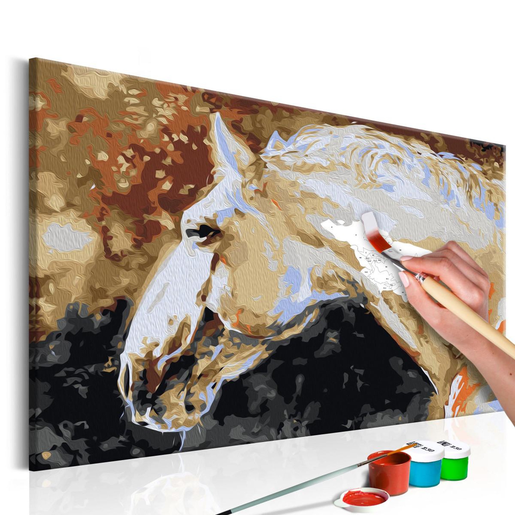 Voir la diapositive 1 : Paris Prix Tableau à peindre soi-même  cheval blanc  40x60cm