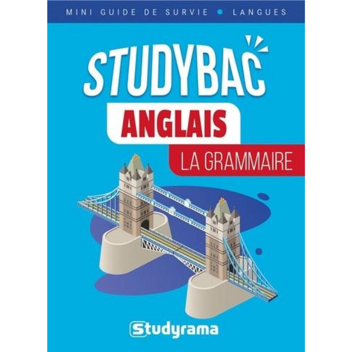 ANGLAIS. LA GRAMMAIRE, Delmotte Axel