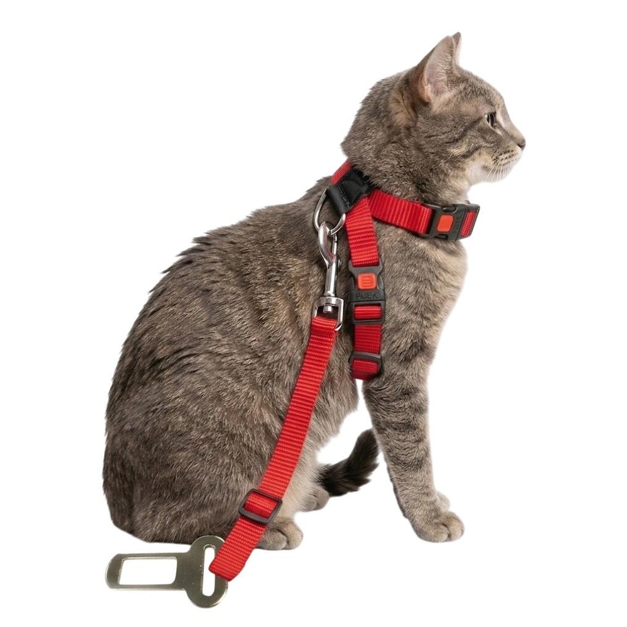 Voir la diapositive 2 : Eden Harnais et ceinture de sécurité pour chat