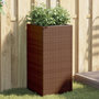 Voir la diapositive 1 : VIDAXL Jardinieres 2 pcs marron 40x40x80 cm resine tressee