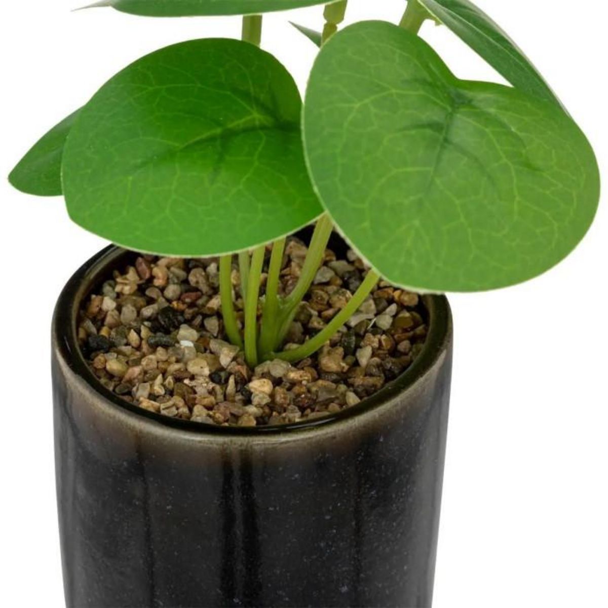ATMOSPHERA Plante Artificielle en Pot  Reac  16cm Noir & Vert