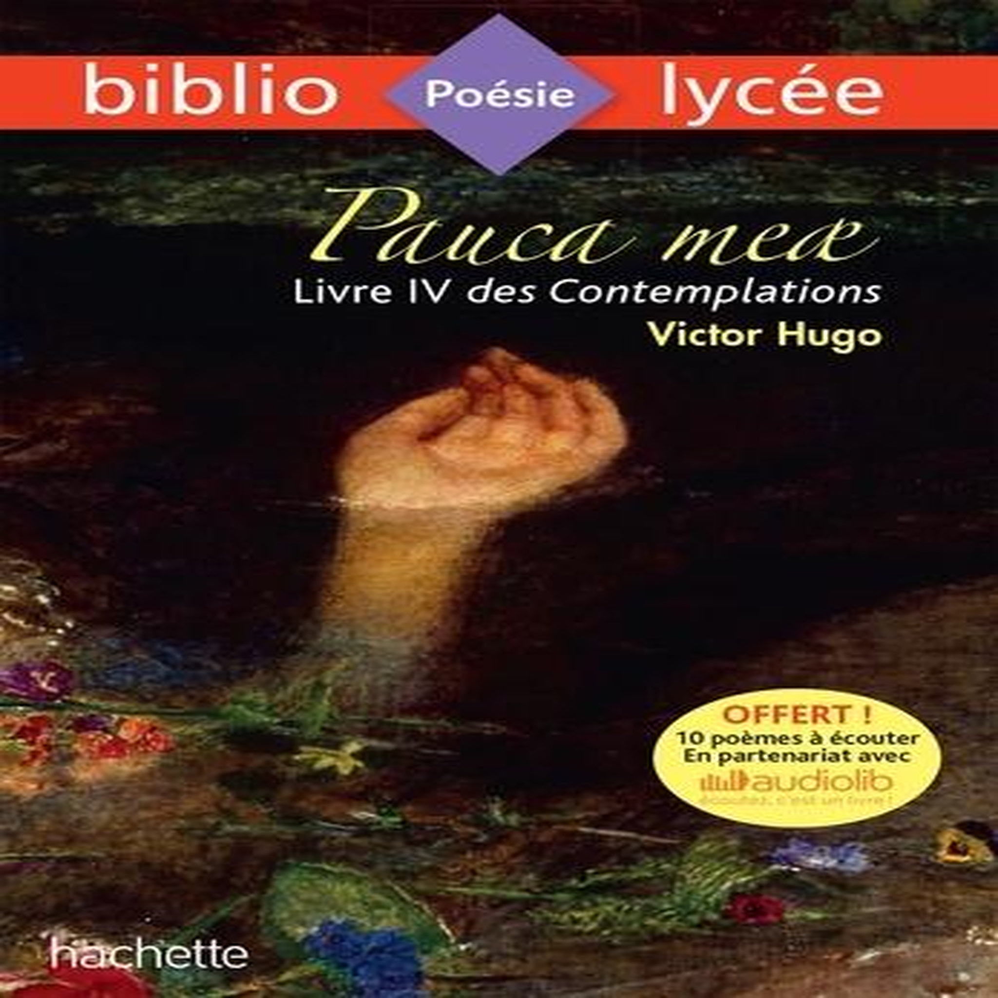PAUCA MEAE (LIVRE IV DES CONTEMPLATIONS), Hugo Victor