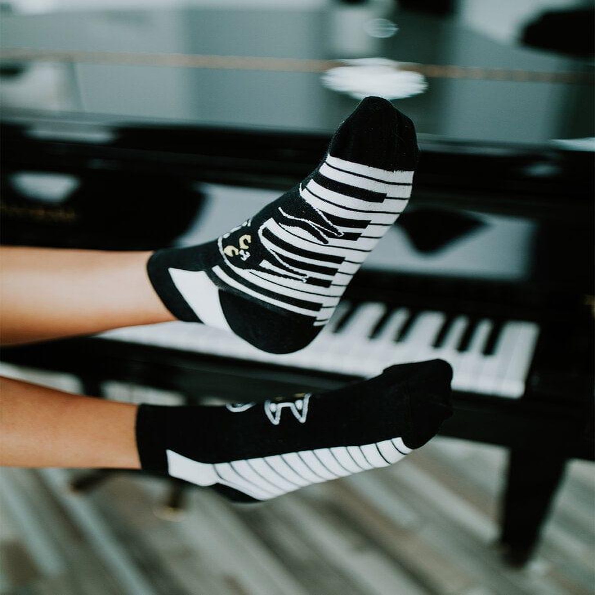 Voir la diapositive 3 : DEDOLES Socquettes chat joue du piano