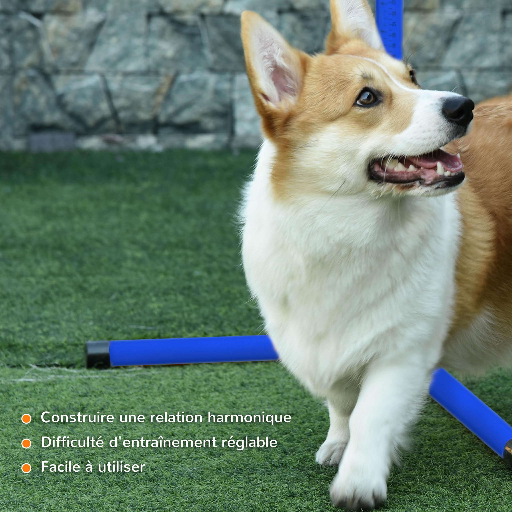 Voir la diapositive 6 : PAWHUT Agility sport pour chiens set de 4 obstacles professionnels avec système de maintien au sol sac transport fourni bleu noir