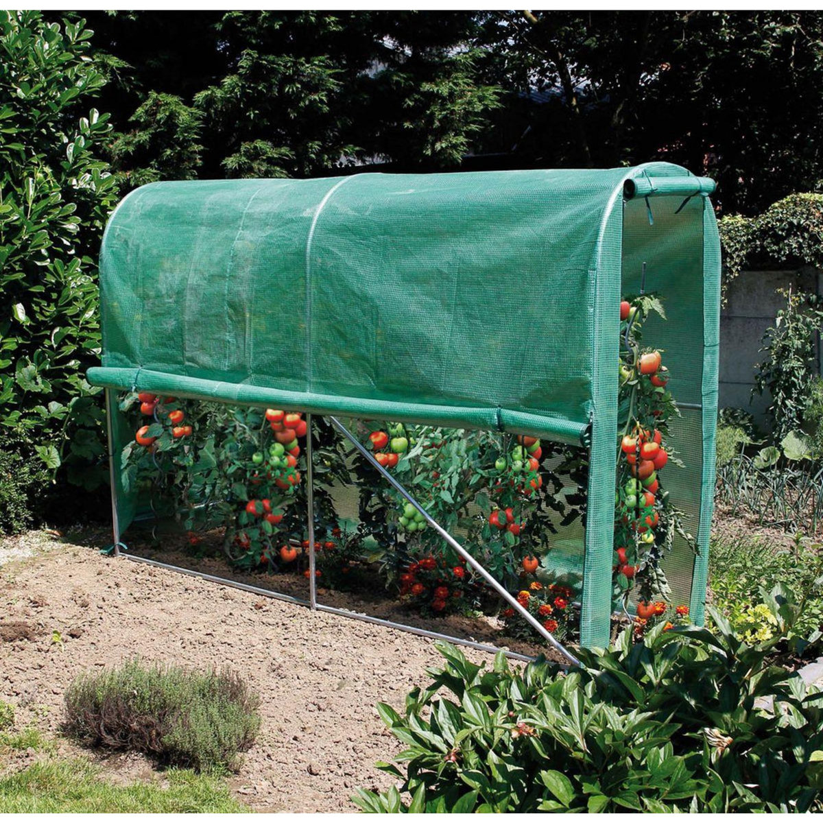 Nortene Serre tunnel  Tomato Greenhouse pour potager - 3 x 1 x 2 m
